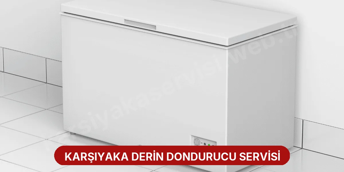 Karşıyaka Derin Dondurucu Servisi