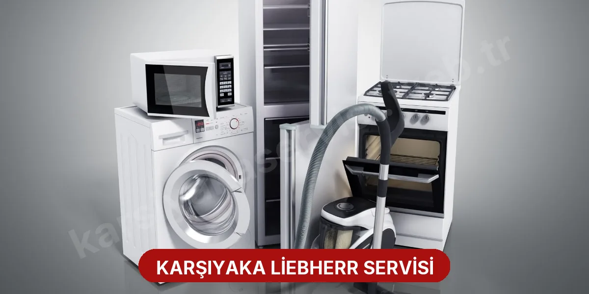 Karşıyaka Liebherr Servisi