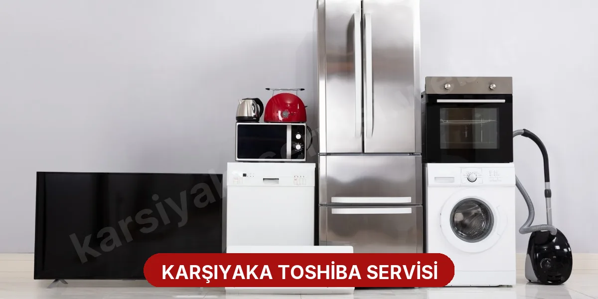 Karşıyaka Toshiba Servisi